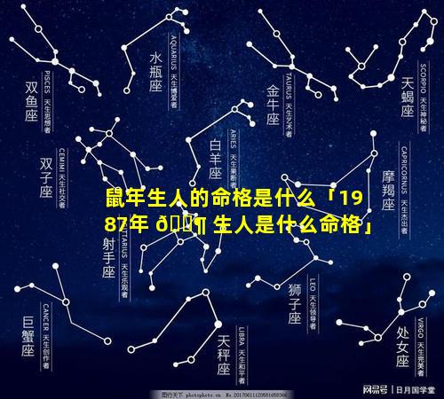 鼠年生人的命格是什么「1987年 🐶 生人是什么命格」